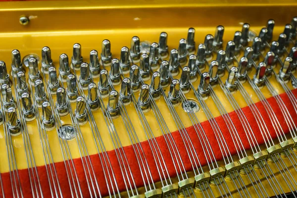 Imagen Primer Plano Del Interior Piano Grand Mostrando Las Cuerdas —  Fotos de Stock
