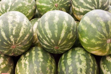 Artalanları gibi tatlı yeşil watermellons bir sürü