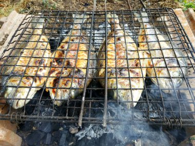 Izgara balık, çipura, dorada arka bahçesinde üzerinde ızgara