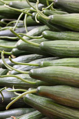 cuumbers olarak artalanları pazarında Satılık sürü