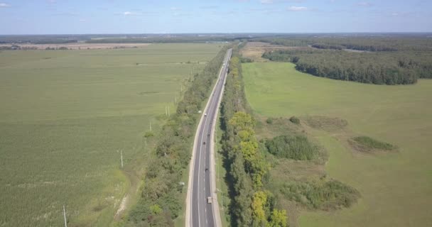 Самотня дороги між зелені поля в Києві, arial постріл, fly-over 4 к 4096 х 2160 пікселів — стокове відео