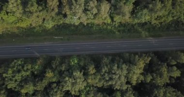 Avrupa'nın bir çam ağacı orman yolda Arial görünümü üzerinde kafa üzerinde 4k görüntüleyin. 4 k 4096 x 2160 piksel