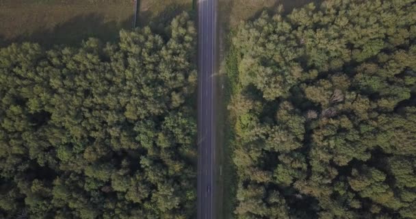Arial pohled na silnici přes borového lesa v Evropě z pohledu nad hlavou 4k. 4 k 4096 x 2160 pixelů — Stock video