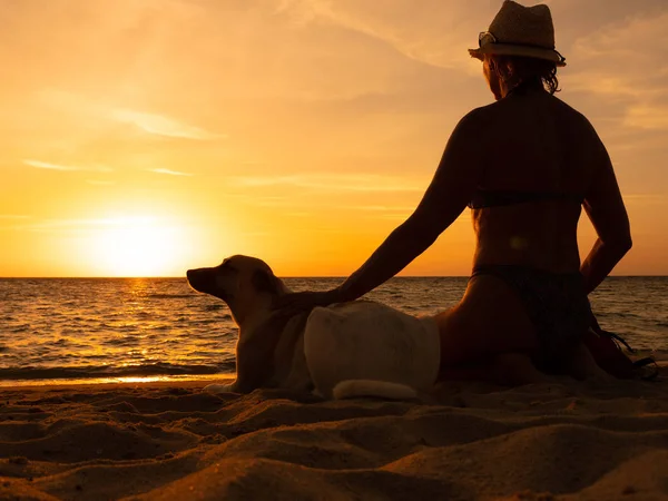 Woman Dog Beach Sunset Time — Stock Photo, Image