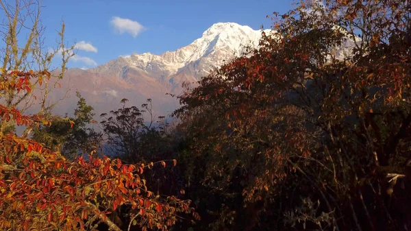 Annapurna Güney Annapurna Dağ Silsilesi Nepal — Stok fotoğraf