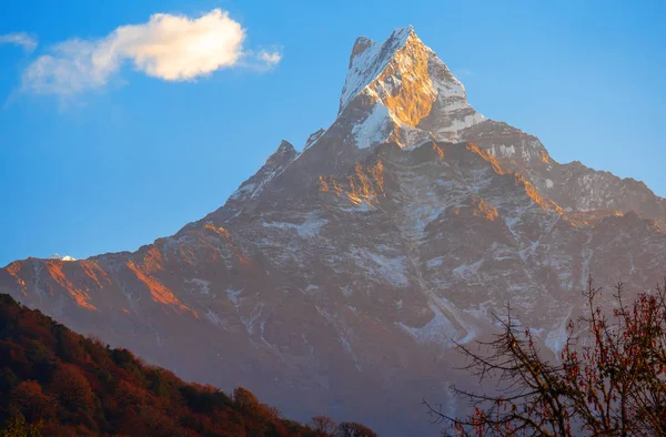 Mountain Peak Machapuchare Ett Berg Annapurna Himalaya Norra Centrala Nepal — Stockfoto