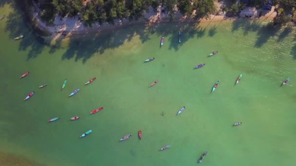 Aerial Statisk Skott Thailändska Lång Svans Taxibåtar Parkering Längs Sand — Stockvideo