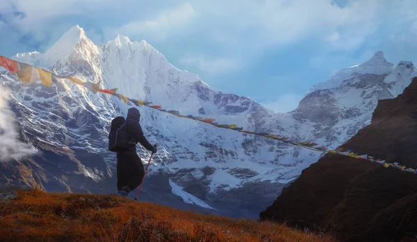 Randonnée Pédestre Active Profitant Vue Sur Les Montagnes Himalaya Paysage — Photo