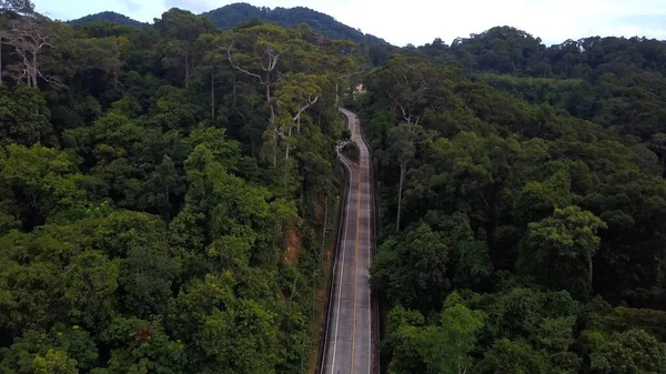 Dessus Route Asphaltée Dans Belle Jungle Verdoyante Île Tropicale Koh — Photo