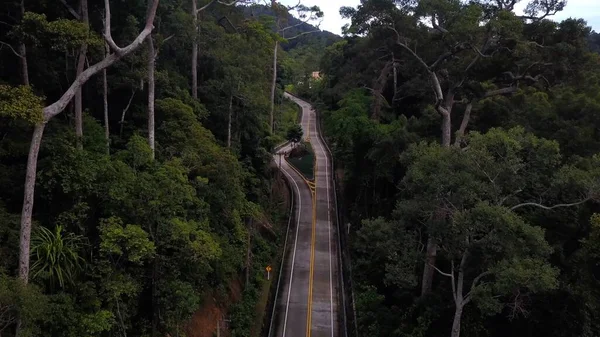 Πάνω Από Ασφαλτοστρωμένο Δρόμο Όμορφο Καταπράσινο Ζούγκλα Στο Τροπικό Νησί — Φωτογραφία Αρχείου