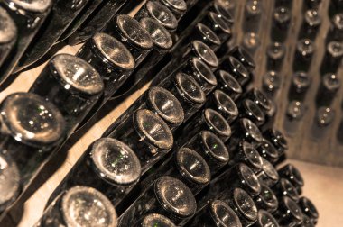 Arka plan ile şarap mahzenleri