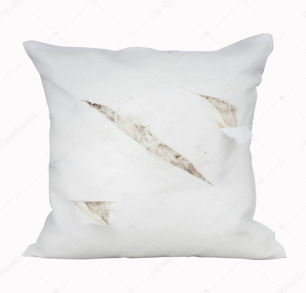 Square pillow on a white background