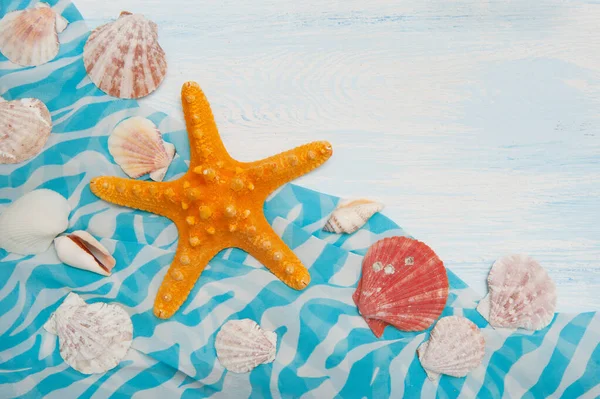 Fondo marino con madera azul, estrellas de mar, conchas — Foto de Stock