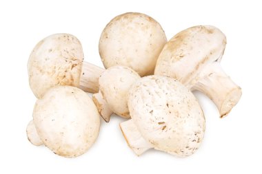 Beyaz arka planda mantar mantarları