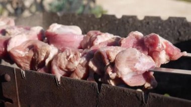 Şiş Kebap 'a Şiş Kebap hazırlıyorum. Şiş kebap ya da şiş kebap pişirmek. Çiğ et kömür ızgarasında pişirilir..