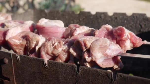 Shish Kebabs bereiden op spiesen boven een vuur in de natuur. Het koken van shish-kebab of shashlik op spiesen boven een vuur. Rauw vlees wordt gekookt op houtskoolgrill. — Stockvideo