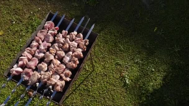 Приготовление шашлыков на шашлыках у костра в природе. Подготовка шашлыков на шампуре над костром в сельской местности в деревне. Сырое мясо готовят на угольном гриле — стоковое видео