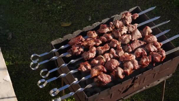 Closeup fumando carne grelhada no churrasco ao ar livre. Kebabs de porco fumando em espetos assando sobre braseiro. fumado bbq grelhar sobre carvão vegetal para churrasco festa . — Vídeo de Stock