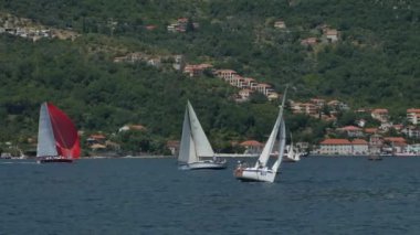 Tivat, Karadağ - 15 Mayıs 2016: Karadağ, Kotor Körfezi 'ndeki yat yarışları. Küçük bir yat yarışında bir grup denizci..
