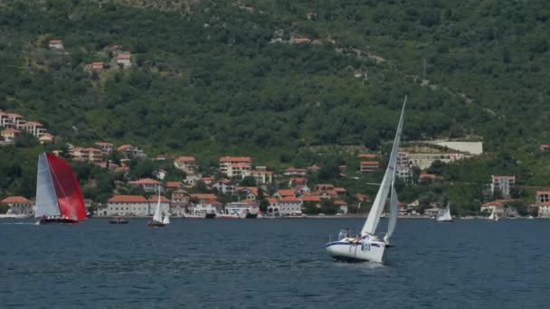 Tivat, Karadağ - 15 Mayıs 2016: Karadağ, Kotor Körfezi 'ndeki yat yarışları. Küçük bir yat yarışında bir grup denizci.. — Stok video