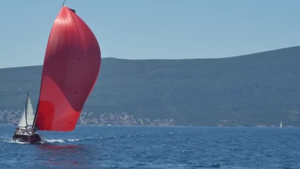 Tivat, Montenegro - 15 de maio de 2016: Regata veleiros no mar, Montenegro, Kotor Bay. Uma equipe de marinheiros dirige um iate vermelho durante uma corrida . — Vídeo de Stock