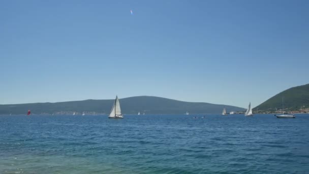 Tivat, Karadağ - 15 Mayıs 2016: Karadağ, Kotor Körfezi 'ndeki yat yarışları. Birçok küçük yelkenli yat yarışı. — Stok video
