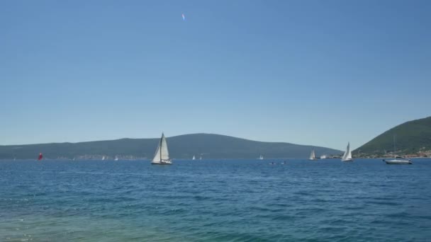 Tivat, Montenegró - 2016. május 15.: Regatta vitorlás jachtok a tengeren, Montenegró, Kotor Bay. Sok kis vitorlás jacht verseny. — Stock videók