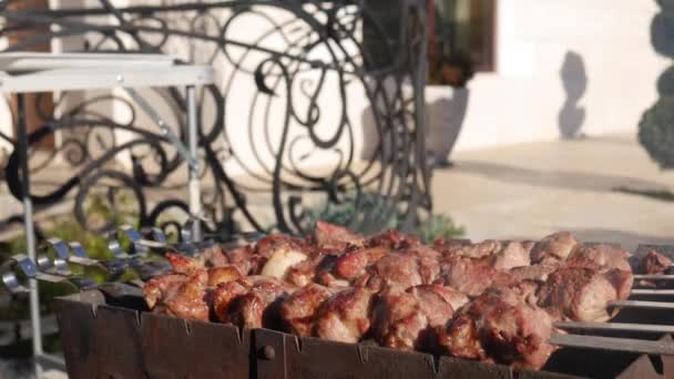 Shish Kebabs bereiden op spiesen boven een vuur in de natuur. Het koken van shish-kebab of shashlik op spiesen boven een vuur. Rauw vlees wordt gekookt op houtskoolgrill. — Stockvideo