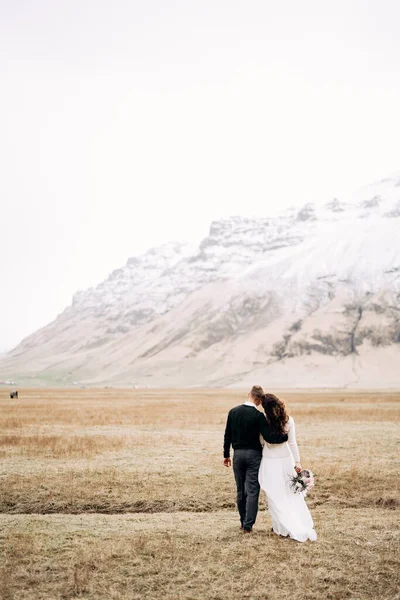 O casal de casamentos vai à distância. O noivo abraça a noiva. Campo de grama seca com musgo, contra o pano de fundo de uma montanha nevada. Destino Islândia casamento . — Fotografia de Stock