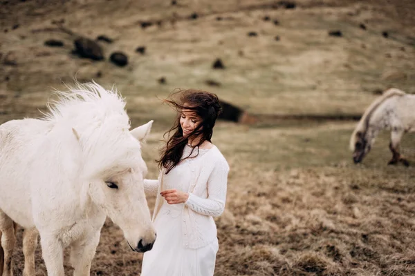 Destino Islândia sessão de fotos de casamento com cavalos islandeses. Uma noiva em um vestido branco caminha entre uma manada de cavalos em um campo . — Fotografia de Stock