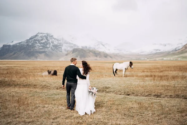 Matrimonio coppia in dopo con i cavalli. Lo sposo abbraccia la sposa. Destinazione Islanda sessione fotografica di nozze con cavalli islandesi . — Foto Stock