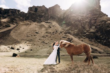 Destination Iceland wedding photo session with Icelandic horses. Epic wallpapers - the bride and groom stroking a brown horse with a light mane on a background of rocky mountains. clipart