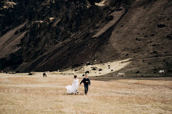 Couple de mariage sur le fond d'une montagne rocheuse et le pâturage des chevaux en Islande. Les mariés courent à travers le champ, se tenant la main . — Photo