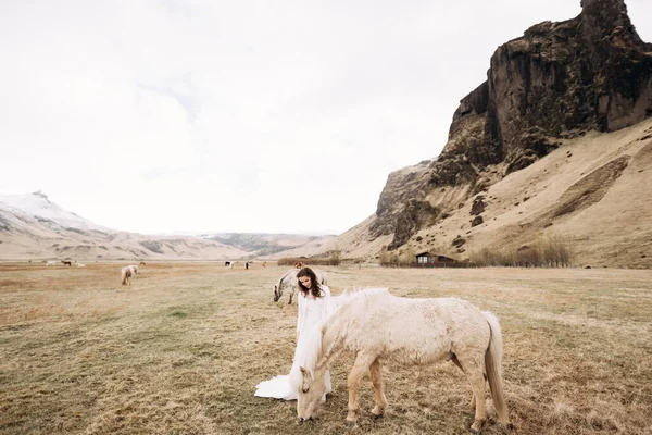 흰옷을 입고 말을 타고 들판에 가 보라. 아이슬란드의 목마 와의 결혼식 사진 세션. — 스톡 사진