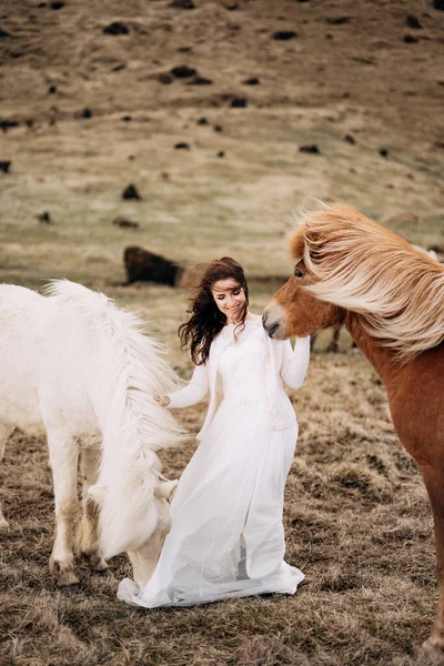 Séance photo de mariage Destination Islande avec des chevaux islandais. Une mariée en robe blanche marche parmi un troupeau de chevaux dans un champ . — Photo