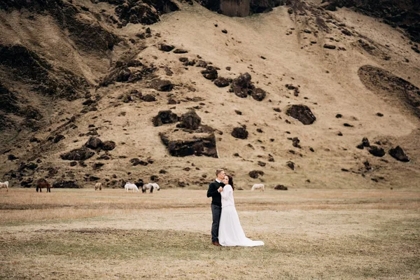 Casamento casal no fundo de uma montanha rochosa e cavalos de pastagem na Islândia. O noivo segura as mãos da noiva e abraça-a . — Fotografia de Stock