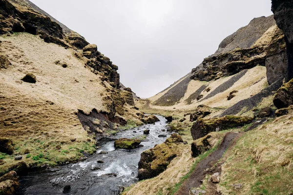 通往冰岛南部Kvernufoss瀑布的路，在金环上。一条长满青苔和黄草的峡谷中的山河. — 图库照片