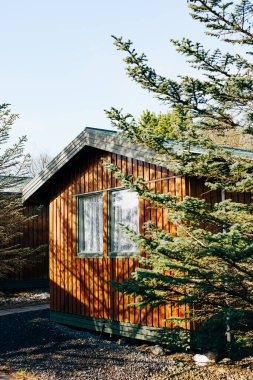 Ormanda tek katlı ahşap bir ev, İzlanda 'da kamp..