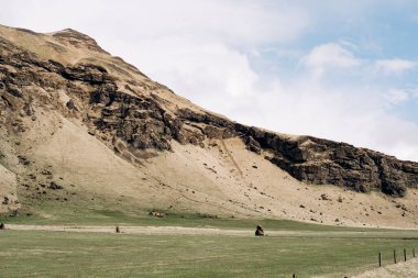 Yeşil bir çayır, otlayan sığırlar için bir tarla, kayalık dağların ve İzlanda 'da beyaz bulutlu mavi gökyüzünün arka planına karşı.. 