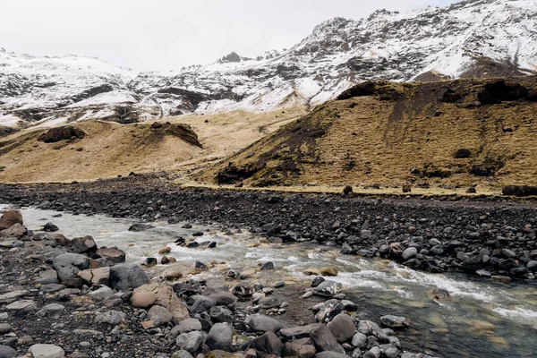 Górska rzeka u podnóża góry z pokrytym śniegiem szczytem. Żółta sucha trawa w górach w maju na Islandii. — Zdjęcie stockowe
