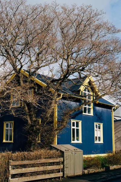 Typical home in Reykjavik, the capital of Iceland. Blue walls and a roof with yellow stroke. Spring tree without foliage in the foreground. — Stock Photo, Image