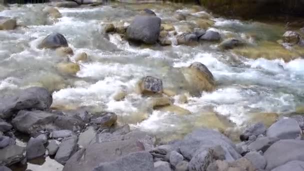 Gros plan des rochers dans la rivière de montagne, lavés rapidement par l'eau courante . — Video