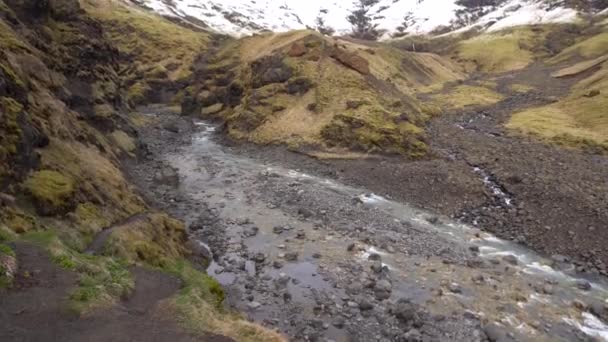 En grund bergsflod rinner mot ett berg med gult gräs på Island. — Stockvideo