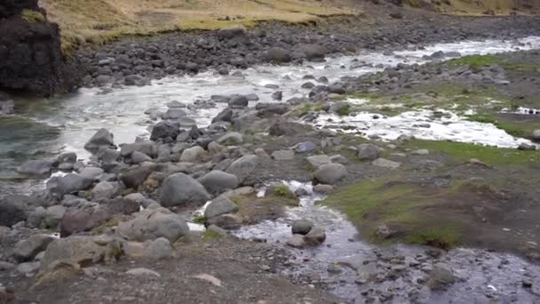 Nahaufnahme von Felsen im Gebirgsfluss, schnell von fließendem Wasser gespült. — Stockvideo