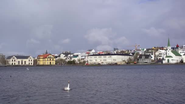 Épületek a Tjodnin-tó partján, Reykjavikban, Izland fővárosában. Szürke izlandi liba úszik a tavon. — Stock videók