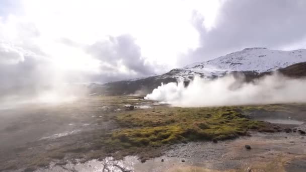 Valle de Geyser en el suroeste de Islandia. La famosa atracción turística Geysir. Zona geotérmica Haukadalur. Géiser Strokkur en las laderas de Laugarfjall colina . — Vídeo de stock