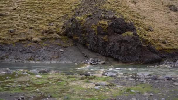 Um rio de montanha raso corre contra uma montanha com grama amarela na Islândia . — Vídeo de Stock