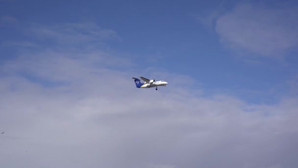 Ein kleines Passagierflugzeug landet am Himmel über einem Park in Reykjavik, Island. — Stockvideo