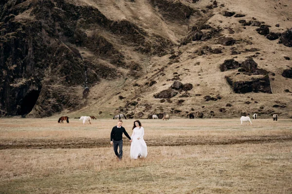 Casamento casal no fundo de uma montanha rochosa e cavalos de pastagem na Islândia. A noiva e o noivo estão andando no campo de mãos dadas . — Fotografia de Stock