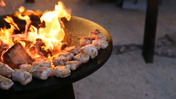 Pedaços de bife de peixe são grelhados. O peixe está sendo preparado em uma grade ao ar livre de ferro de aço redondo com um fogão e uma fogueira aberta no meio . — Vídeo de Stock